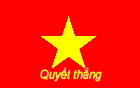 lá cờ Việt Nam vô địch